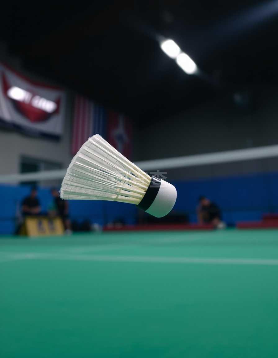 安心打出自 安心打出自