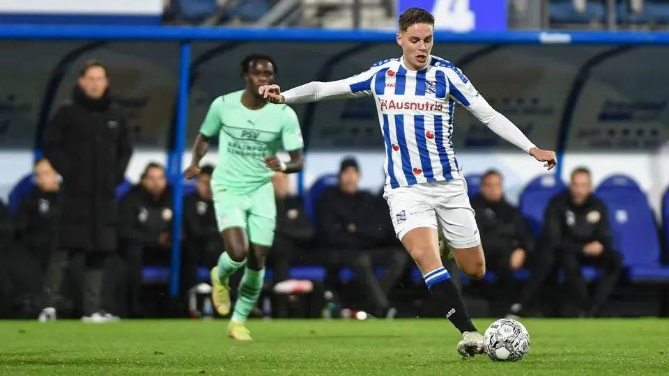 广受欢迎 广受欢迎