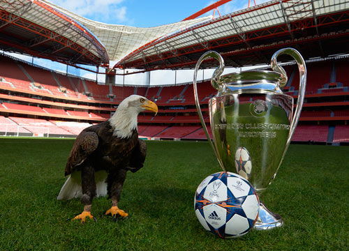 强侧空切假 强侧空切假